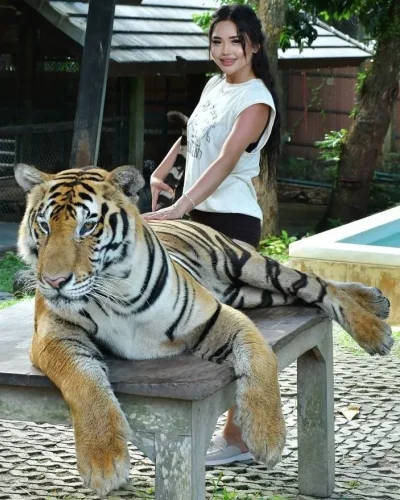 Albina photo 23, asian, athletic, brunette, 159 cm, 53 kg, Medium bust, Hong Kong