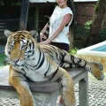 Albina photo 23, asian, athletic, brunette, 159 cm, 53 kg, Medium bust, Hong Kong
